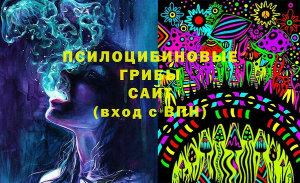 дмт Алексин