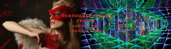 дмт Алексин