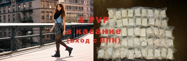 мдпв Рославль
